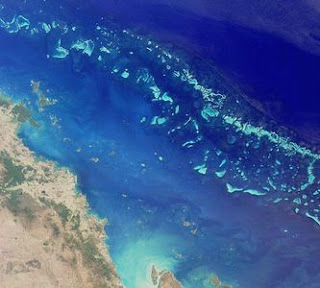 Se recupera la Gran Barrera de Coral