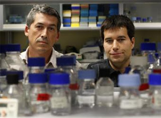 Alberto López-Bueno, a la izquierda, y Antonio Alcamí, en su laboratorio del Centro de Biología Molecular Severo Ochoa de Madrid - CRISTÓBAL MANUEL