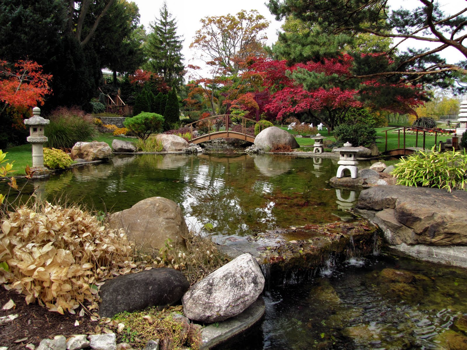 Japanese Water Garden