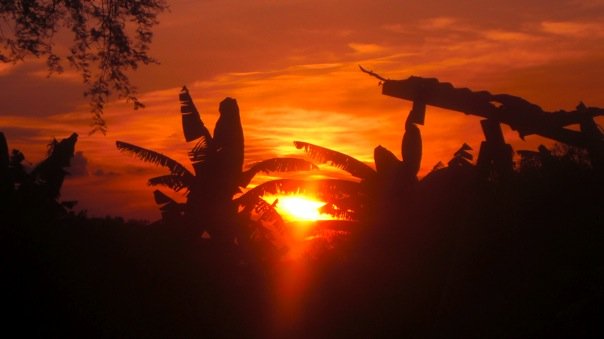 [african+sunset.jpg]