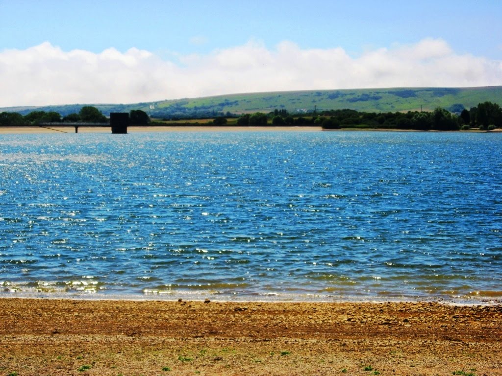 Notes from Brighton Arlington Reservoir