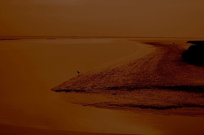 [AA0_6438.JPG]