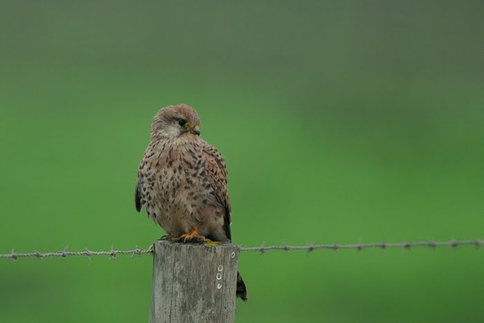 [DSC_0030.JPG]