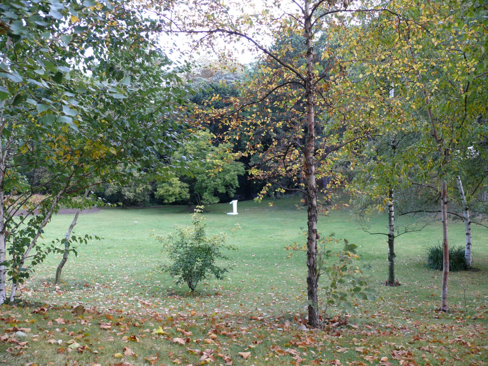 [L1030043.JPG]