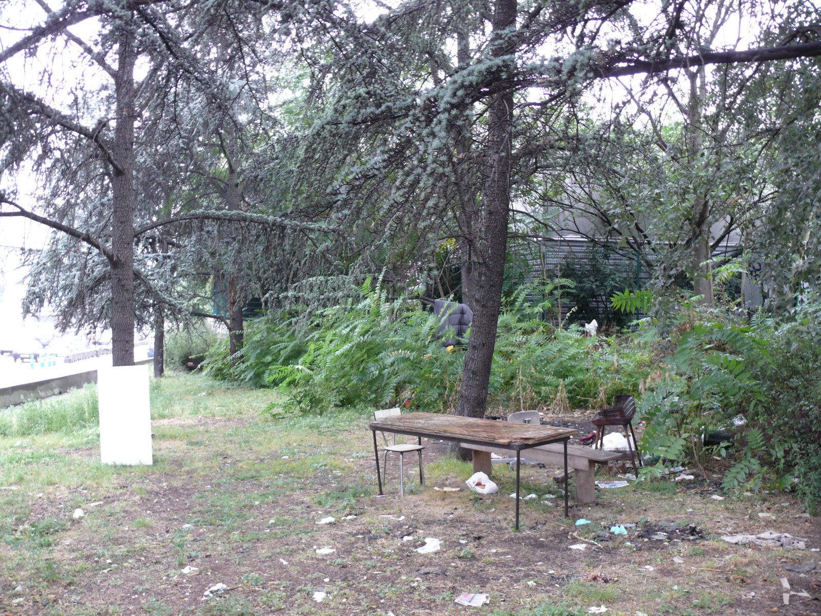 [L1030207.JPG]