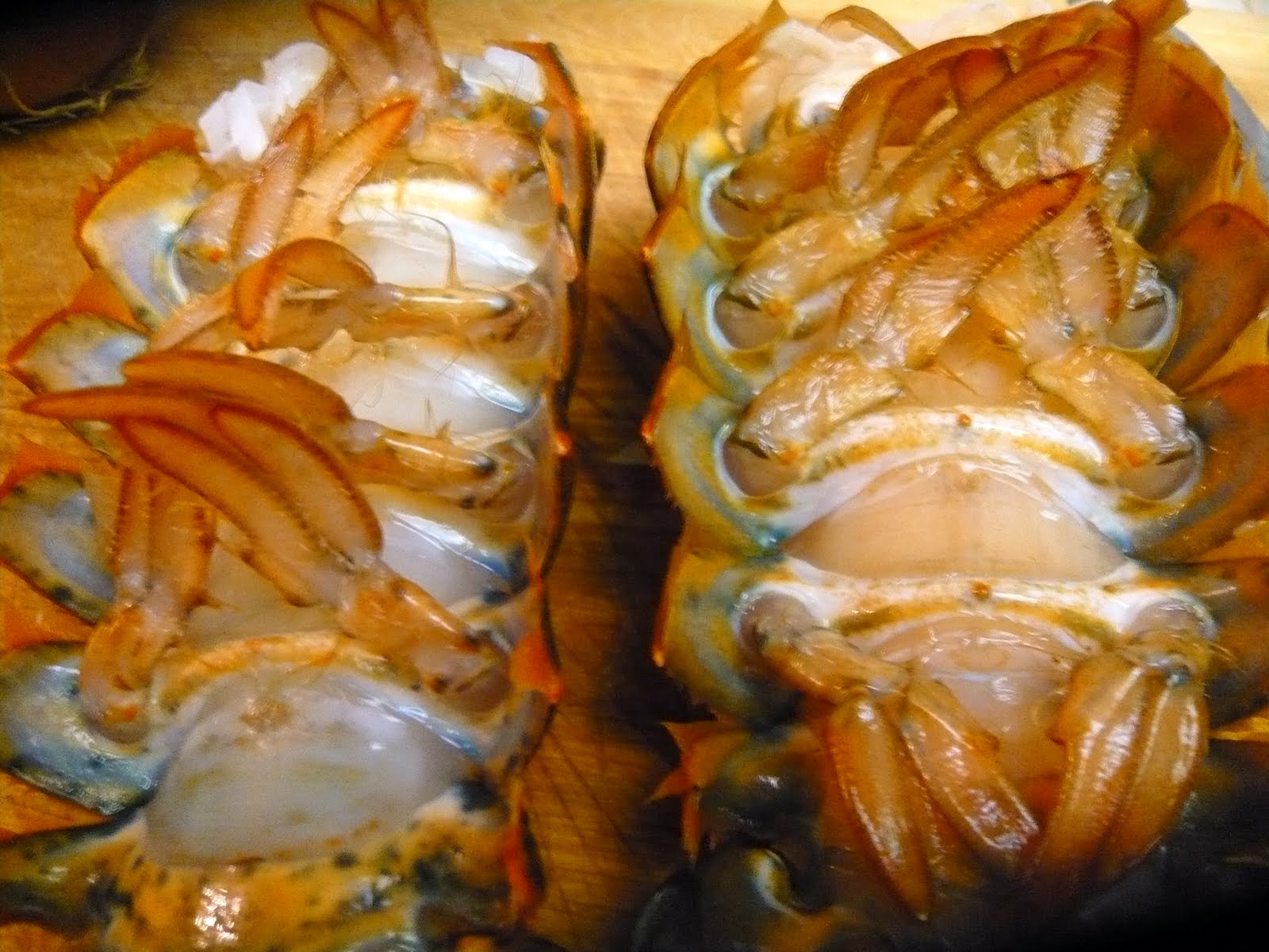 newFOOD tuesdayz Lobster Enchiladas