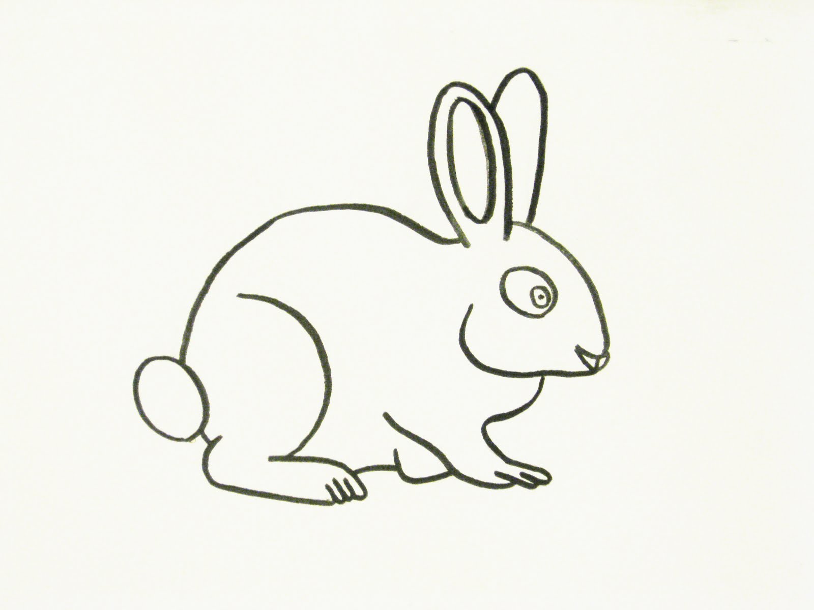 Rabbit Sketching