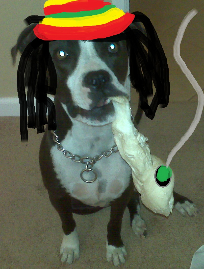 Rasta Things