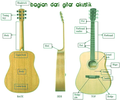 http://4.bp.blogspot.com/_D1i3tYOZwRc/TI6wSQZWG5I/AAAAAAAAACE/Otb9IQxC1z8/s1600/guitaranatomy.png