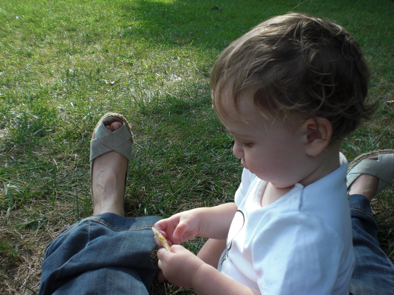 [textilemuseum10.jpg]