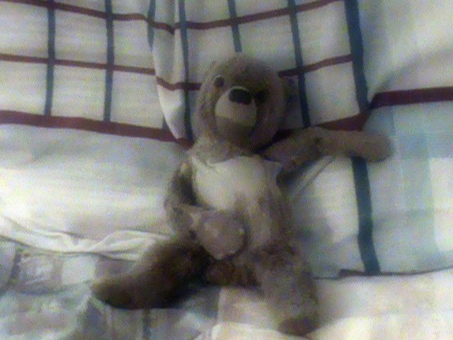 pimp bear