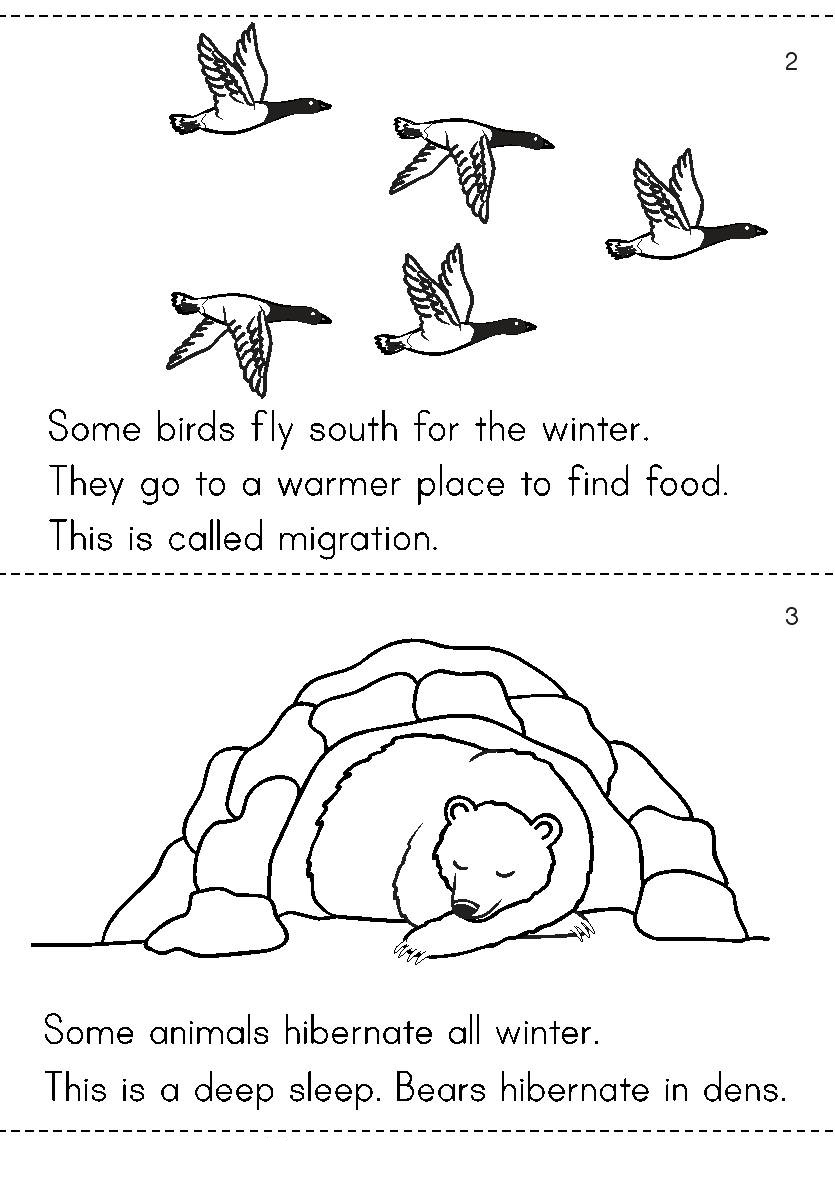 Angol feladatok, mondókák, színezők: Animals in Winter / Hibernation