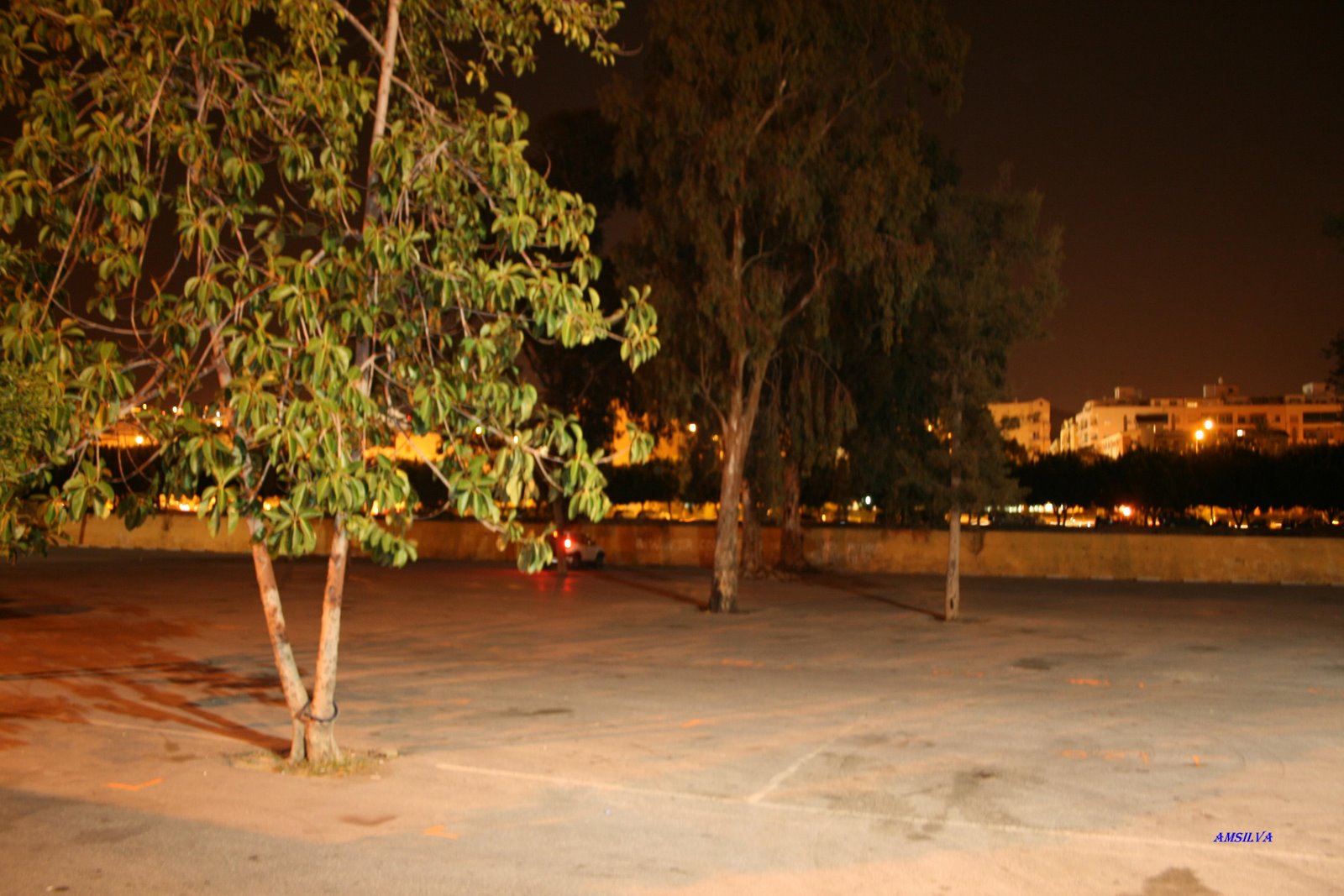 [malaga+parque.JPG]