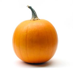 [pumpkin1.jpg]