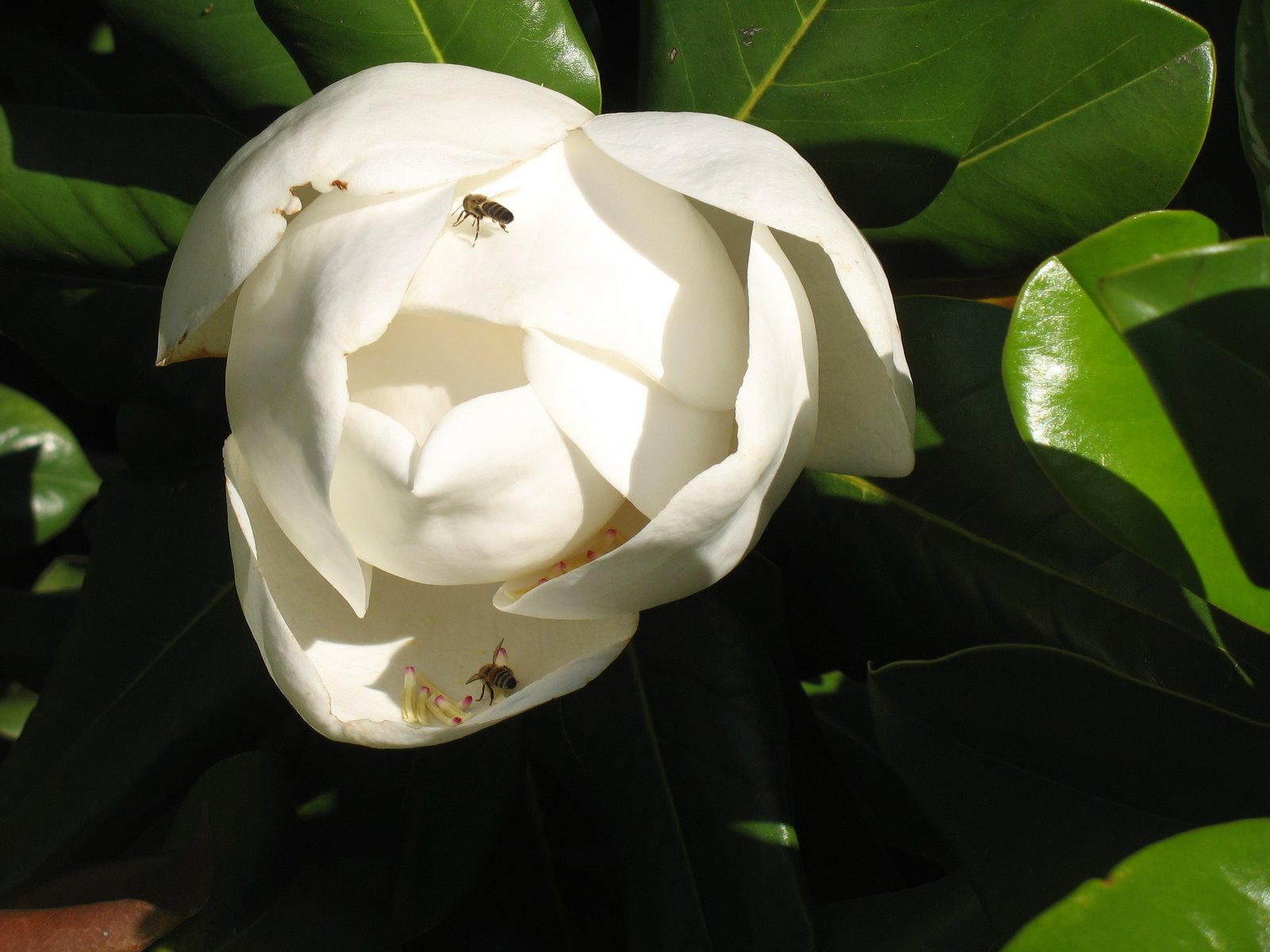 [Spring+2009+120.JPG]