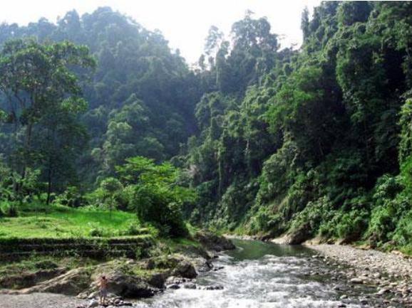 My Love is 4ever: Taman Nasional Gunung Leuser