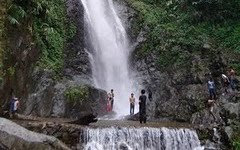 http://4.bp.blogspot.com/_D5TxtsY69D0/TFdnvBEC4EI/AAAAAAAAFHM/VQ58Afco1Zw/s320/CURUG+CIGENTIS.jpg