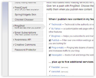 Ping Google through Feedburner