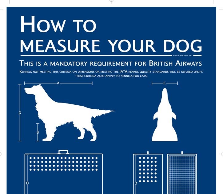 Groovy Pet Transport Info Indonesia How To Measure Your Dog When