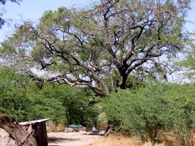Pictures - Samadhi Of Chand Patil Of Dhoop Kheda