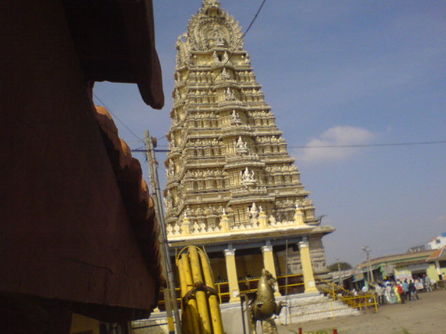 [DSC01407.JPG]