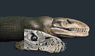 哥斯拉鱷魚 - 海怪 哥斯拉鱷魚