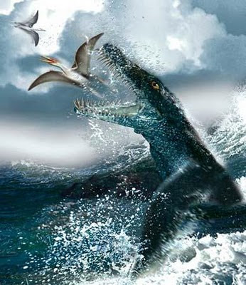 海洋暴龍 化石 - 史前海洋暴龍 化石