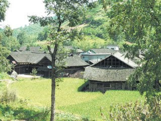 桃花源 湖南黃桑坪 桃花源 湖南黃桑坪