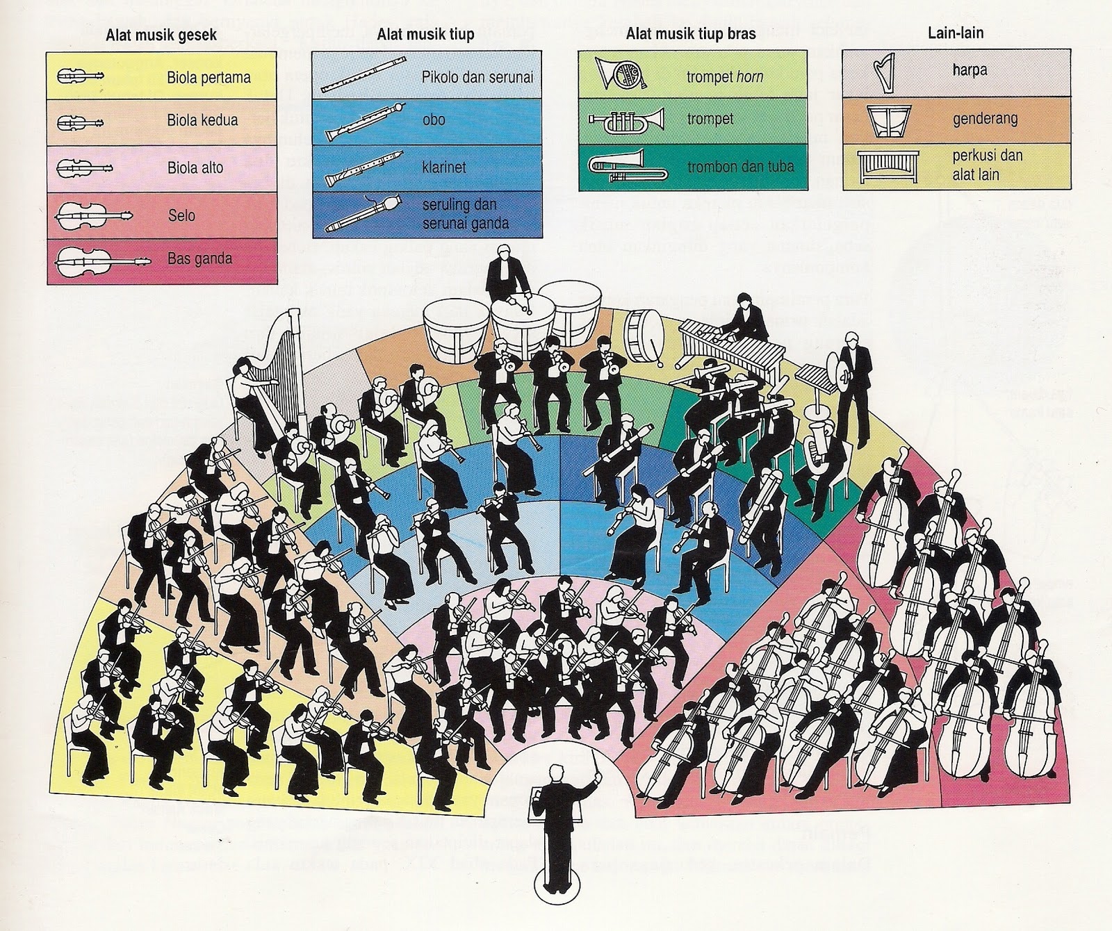 Fly Over Formation of Orchestra