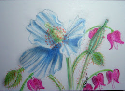 Blue Poppy with Bleading Hearts