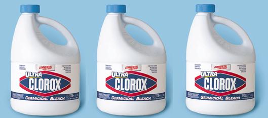 [chlorox.JPG]