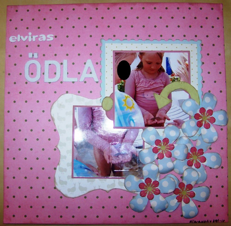 [LO+Elviras+ödla.JPG]