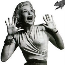 Squirrels Being Attacked