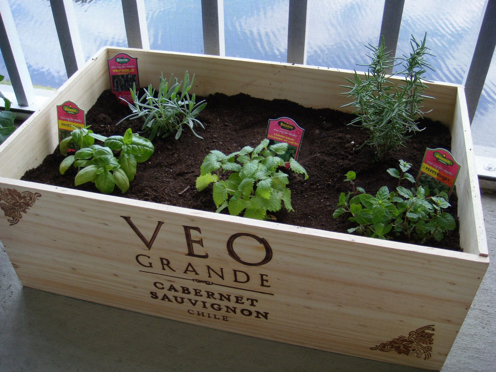 [More+Spring+08+003.JPG]