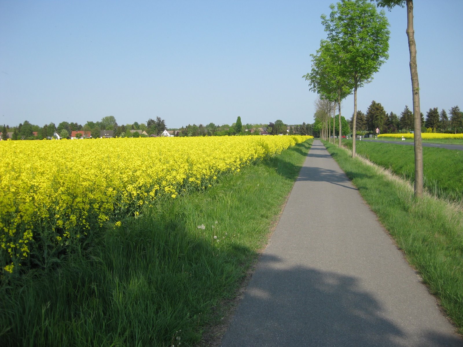 [IMG_0652.JPG]