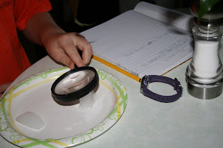Homeschool Science Diary: Scientific Method experiment