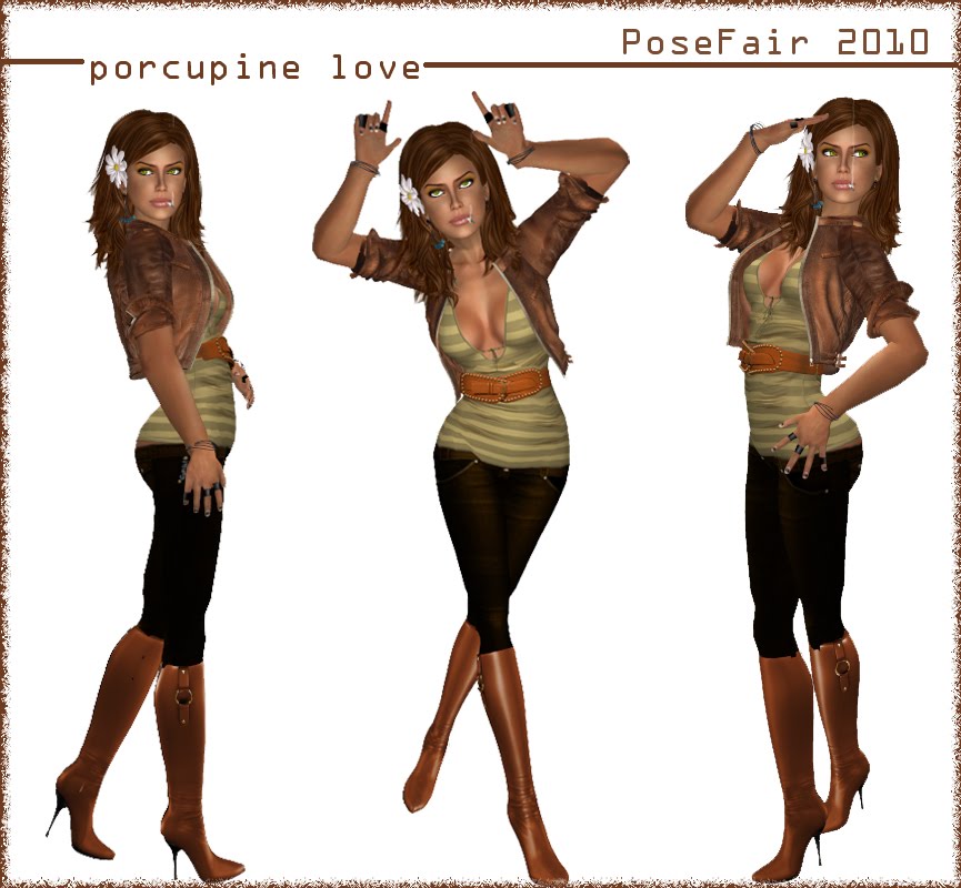 Porcupine Love