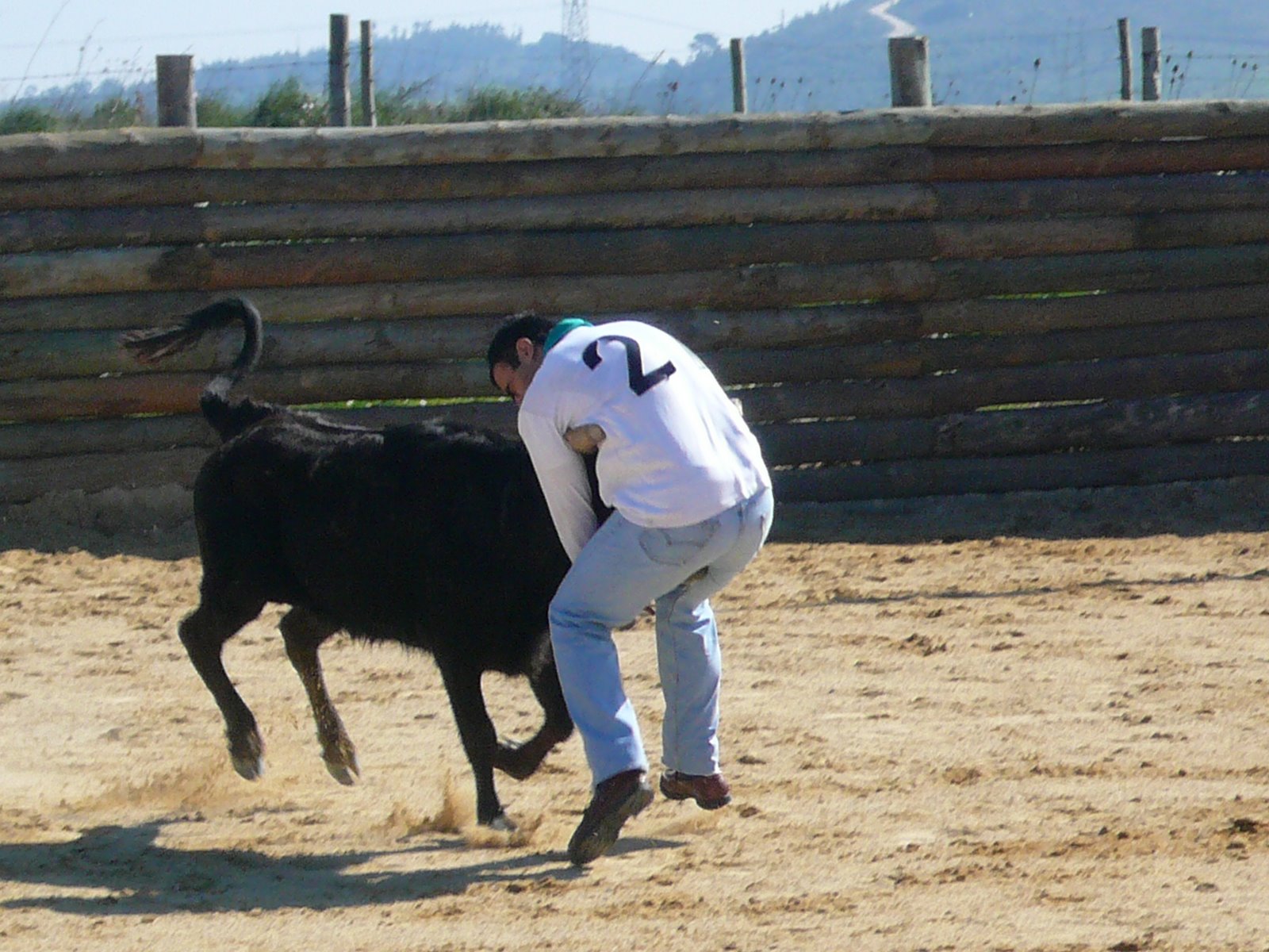 [P1020031.JPG]
