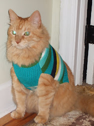 Roscoe in his Christmas sweater