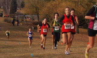 stewart cup xc