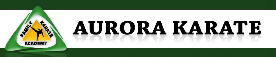 Martial Arts Aurora- Karate Classes Aurora- MMA Aurora- Twinsburg