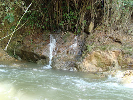 Río Cestillal