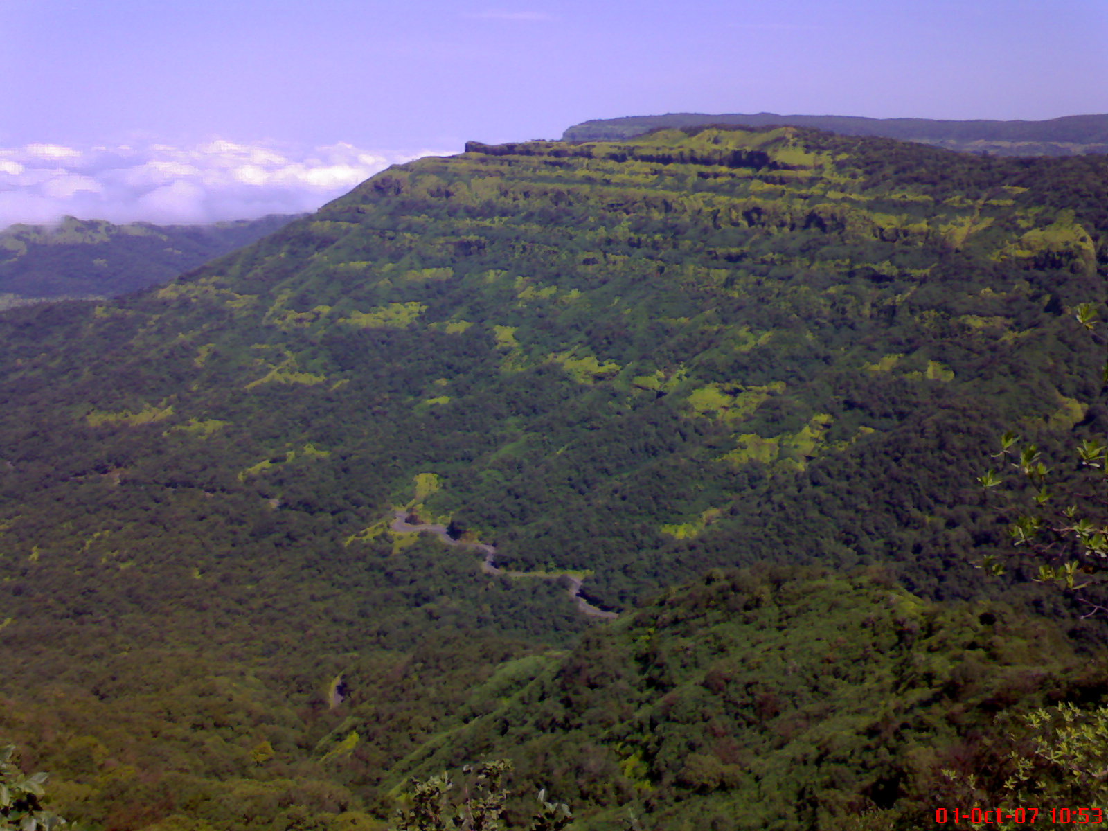 [DSC00131.JPG]