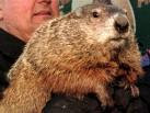 Wesley! It's an ROUS!