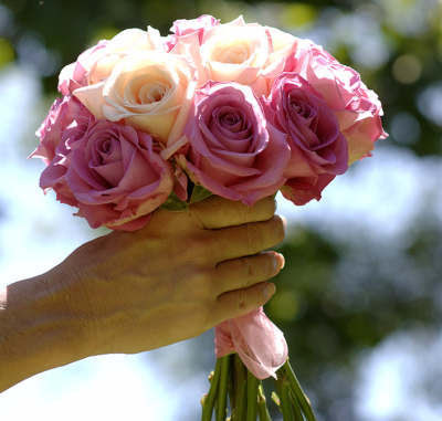 http://4.bp.blogspot.com/_DDMqlCPMNjM/TMoZPP_b5LI/AAAAAAAAdX0/5-PjXQRy8s4/s1600/summer-rose-bouquet_lg.jpg