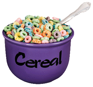 comida comida