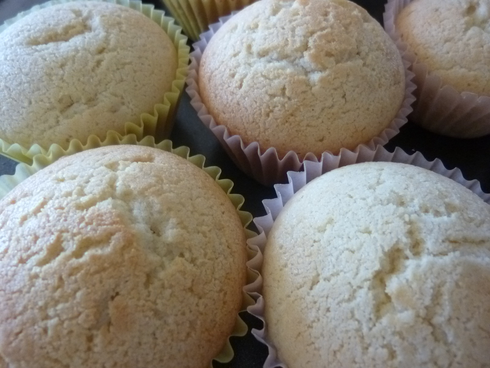 Unfrosted Cupcake