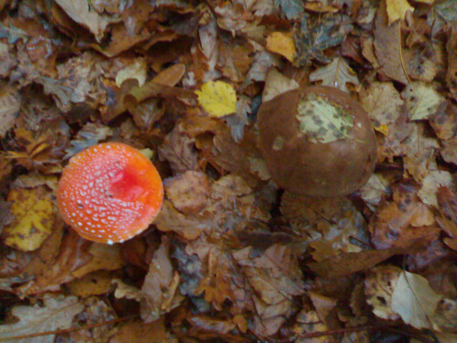 [24112008060.jpg]
