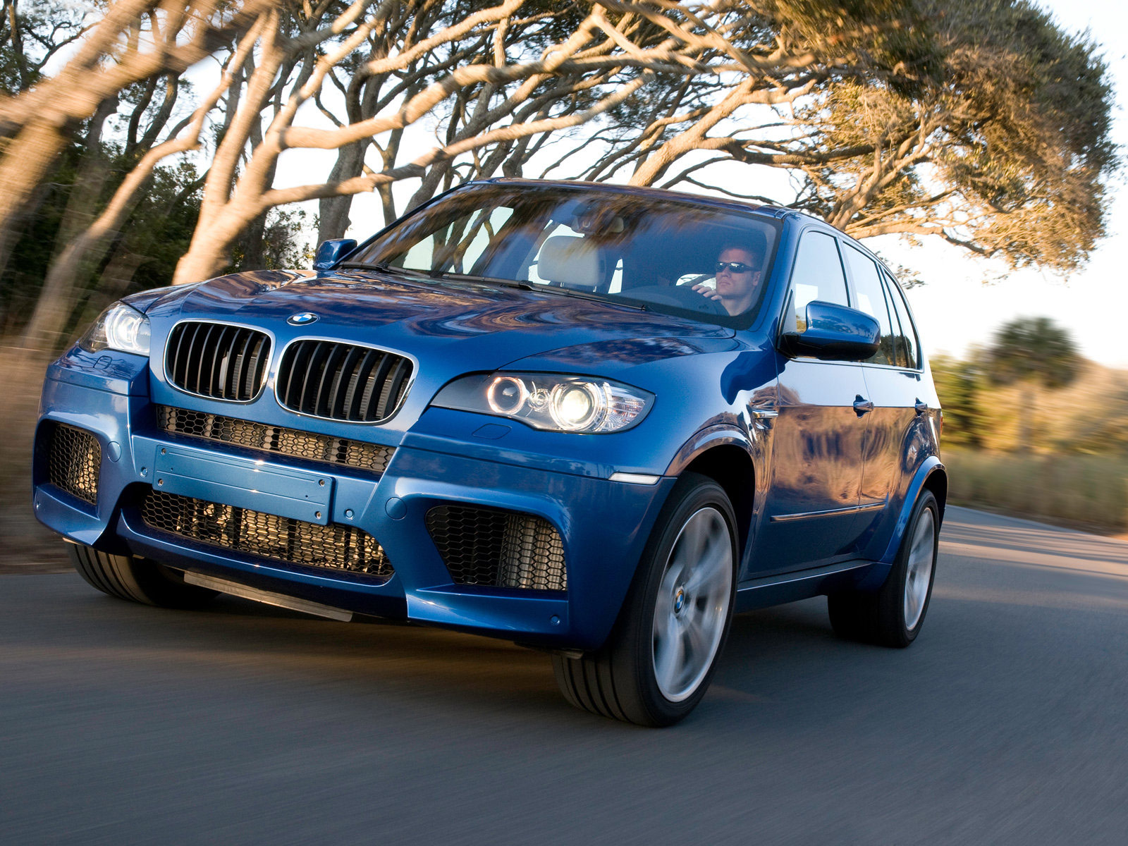 2010 BMW X5M Auto insurance information