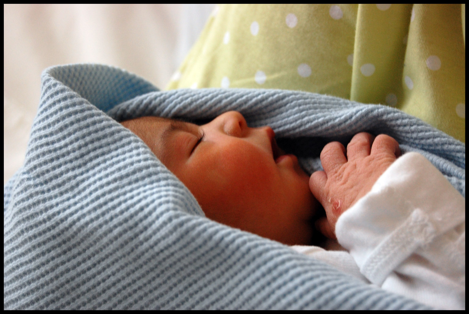 [nataliaviviana.jpg]